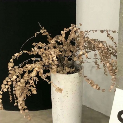 元谋福瑞交流群